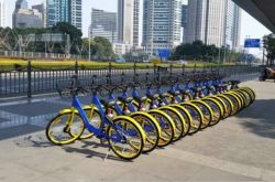 10分钟科普!九江市有哪些公司_哔哩哔哩-3